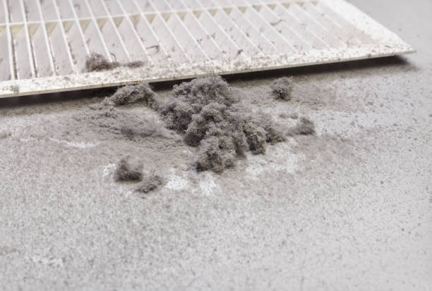 Best HVAC Air Duct Cleaning  in Farmer City, IL