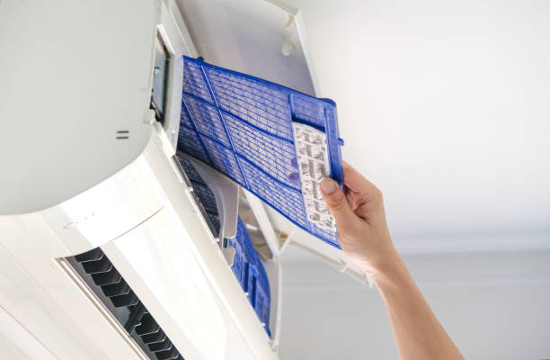 Best Professional Duct Cleaning Services  in Farmer City, IL